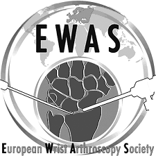 European Wrist Arthroscopy Society