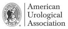 American Urological Association