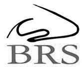 British Rhinological Society