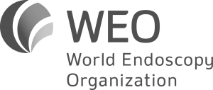 WEO - World Endoscopy Organisation